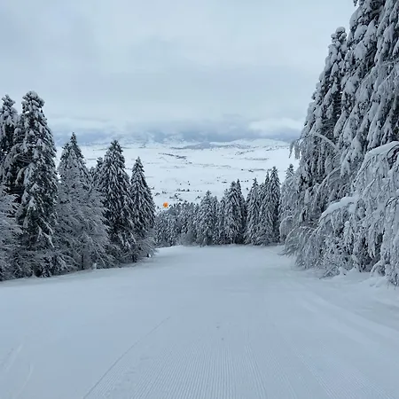 Vikendica Mati クープレス